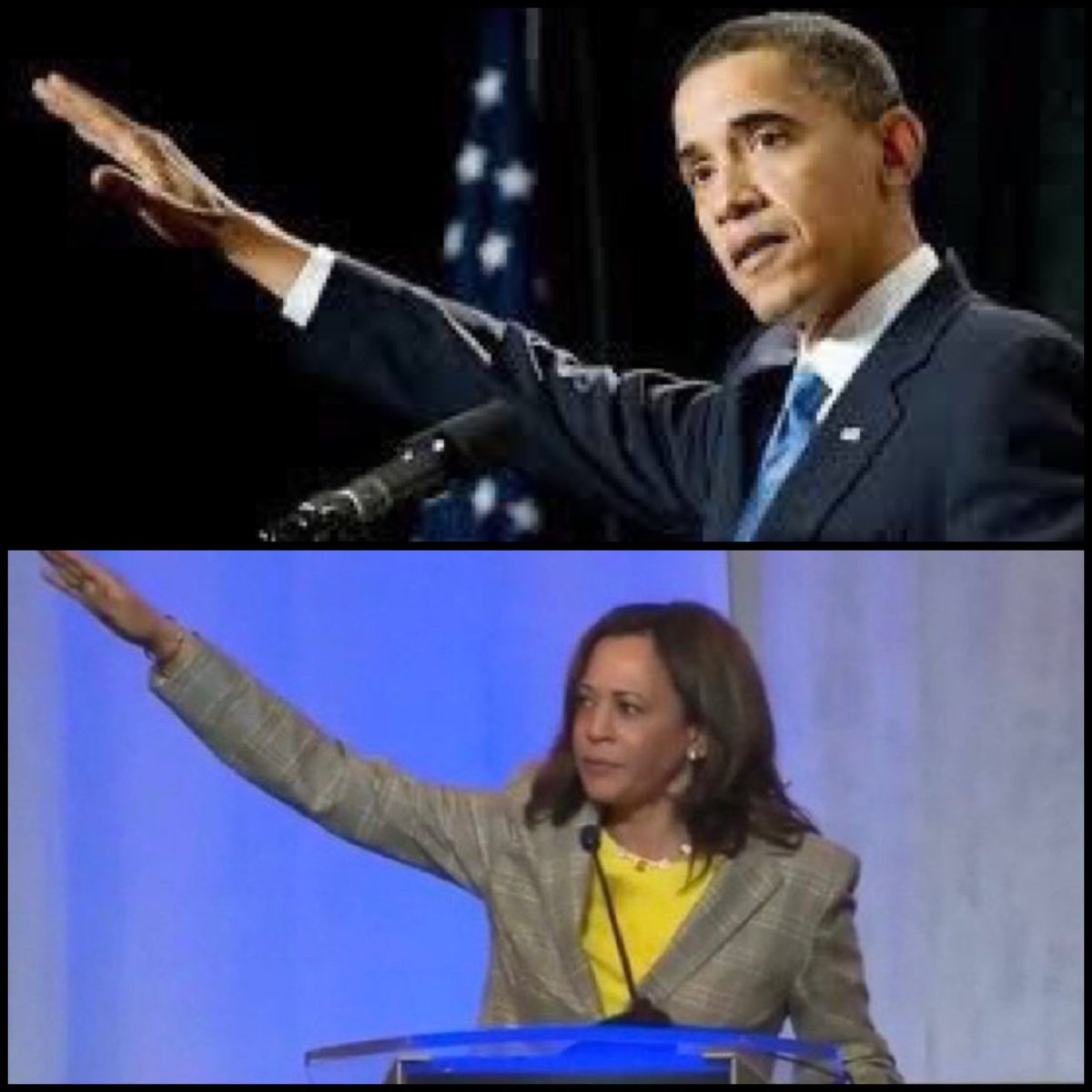 Planet Of Memes tweet media