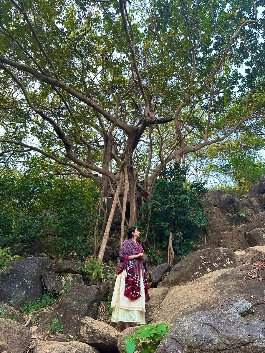 ShivangiMaletia's tweet image. विशालता को नमन 🙏🌺✨
चेतना को नमन
स्व को नमन 

#MorningThoughts #MorningVibe