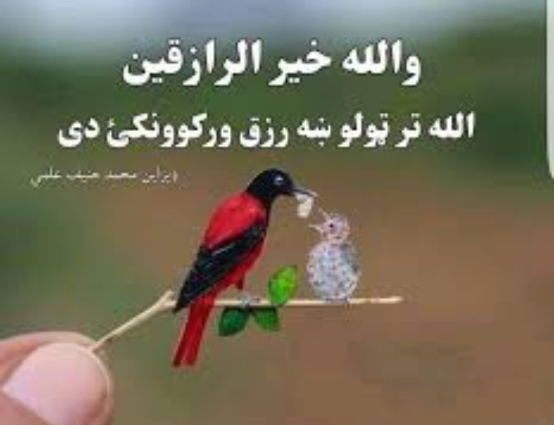 دا آیت سته او ته بیا هم ورخطا یې?
وَاللَّهُ خَيْرُ الرَّازِقِينَ
او الله ﷻ تر ټولو ښه رزق ورکوونکي دي•