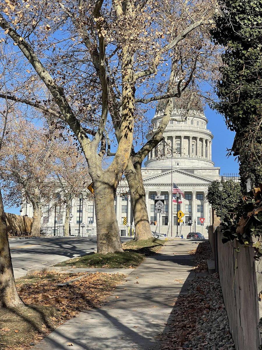 ClintonPMorris's tweet photo. It was the Utah League of Cities and Towns Local Officials Day in conjunction with the start of the Utah Legislative Session. It was fun to be with the Layton Youth Council and their advisors. Grateful for Lt. Governor Deidre Henderson and her message. 👊❤️🇺🇸 #CitiesWork https://t.co/piZyO82Wut