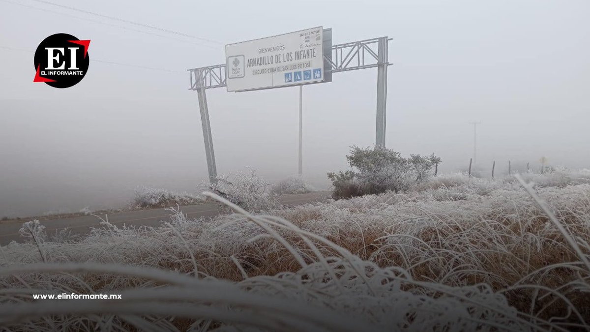 ElInformanteMX's tweet image. 🥶 ❄ | ARMADILLO DE LOS INFANTE DESPIERTA CUBIERTO DE HIELO TRAS INTENSA HELADA

📌 La madrugada del 10 de enero de 2025, #Armadillo de los #Infante, #SanLuisPotosí, a 61 kilómetros de la capital potosina, amaneció completamente blanco debido a una fuerte helada. Las bajas