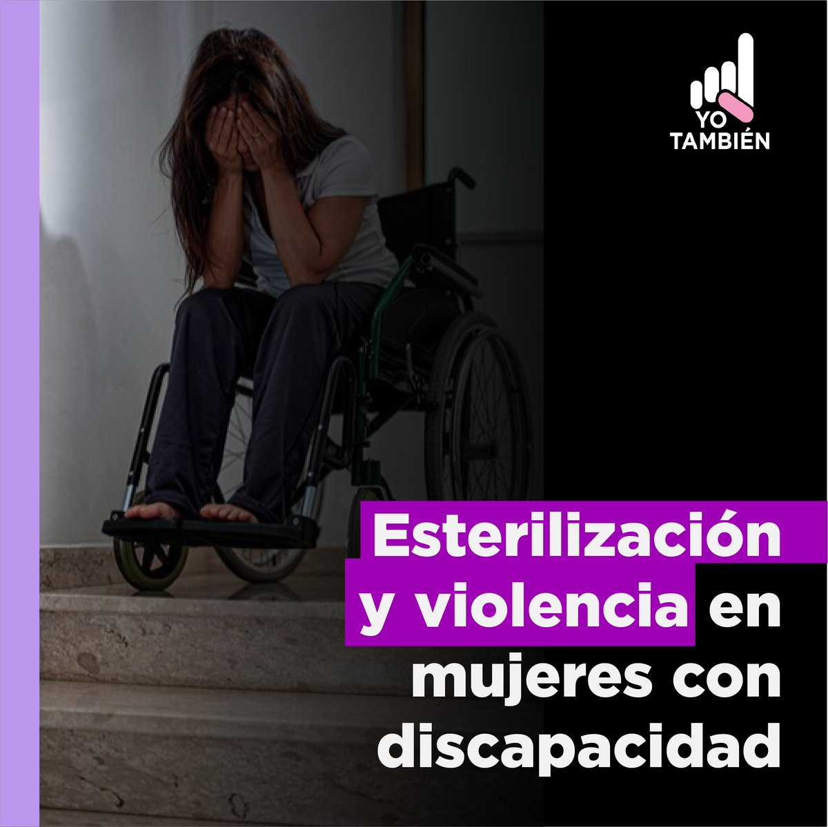 YoTambien's tweet photo. 🚨 Según cifras oficiales, 4 de cada 10 mujeres mexicanas enfrentan la violencia de la esterilización forzada.
Lee la investigación #DecisionesRobadas de @LaCaderadeEva, que forma parte de #CambiaLaHistoria, un proyecto de @DW_Akademie_es y @alharaca_sv.
Descubre más sobre esta problemática en https://t.co/gBFO4m7NFs