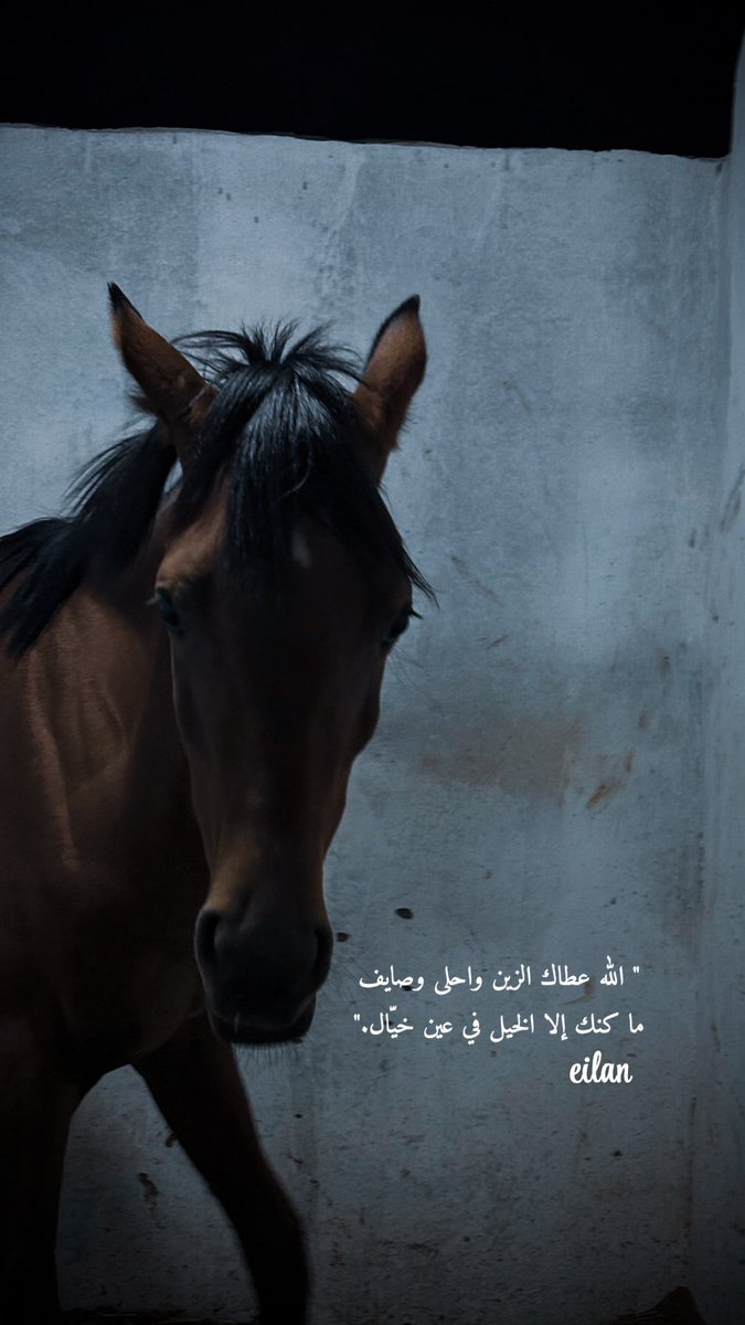 🇸🇦﮼فِـاتن 🍂🤍 tweet media