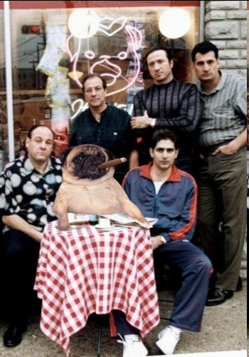 TroySbeck's tweet photo. @Dior100x Do it for $CG and the sopranos. 

5Vjhhta7DJWJgLqTjwLfB9ybQGF9MZFY3cGjYVXcpump https://t.co/KG9zcRSpw1