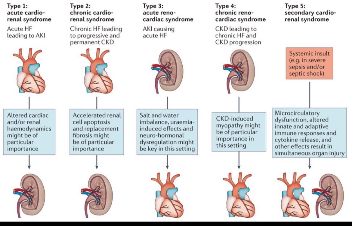 ❤️🫘Types of Cardio renal syndromes 

pubmed.ncbi.nlm.nih.gov/19007588/