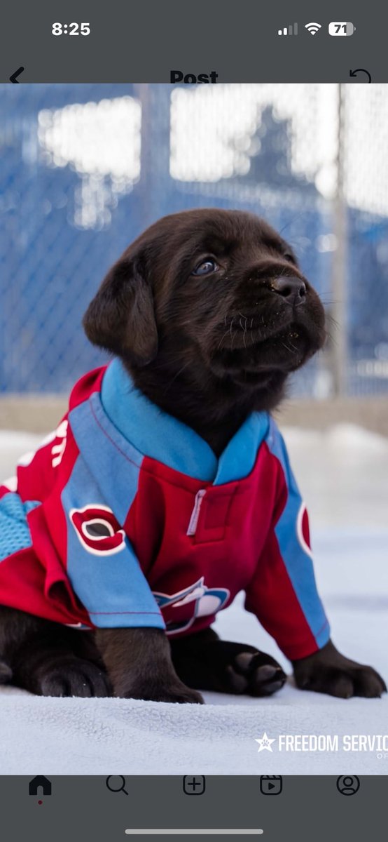 kylekeefetv's tweet photo. Maxy says Go Avs Go!! https://t.co/eKDDbVoMSD