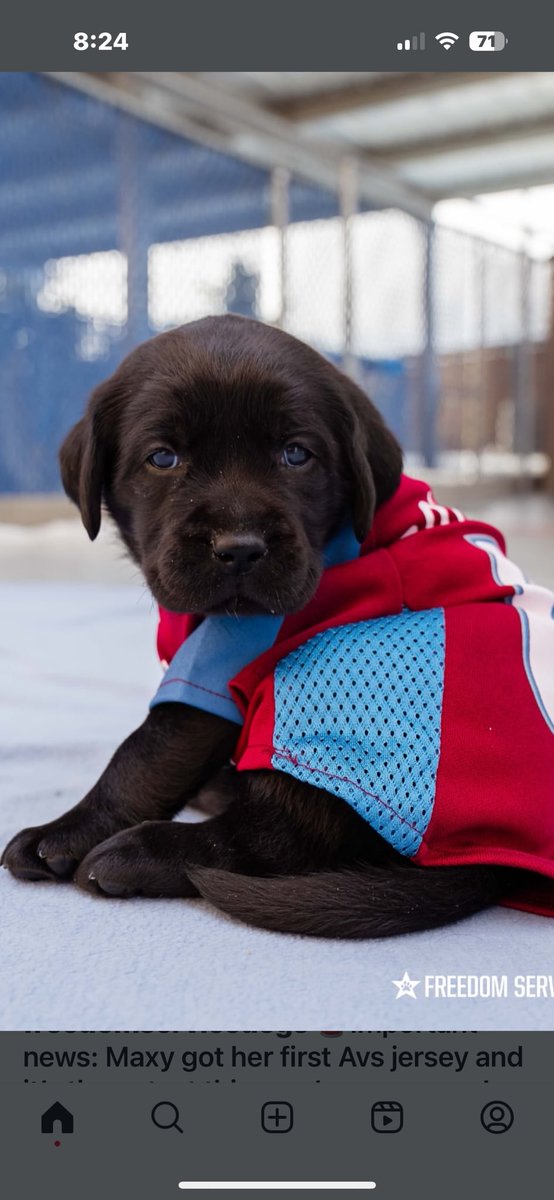 kylekeefetv's tweet photo. Maxy says Go Avs Go!! https://t.co/eKDDbVoMSD