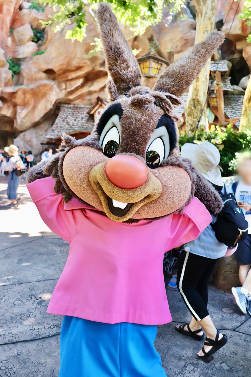 LucaRobin_L_E's tweet image. 笑いの国、寄ってく？？
#brerrabbit #splashmountain