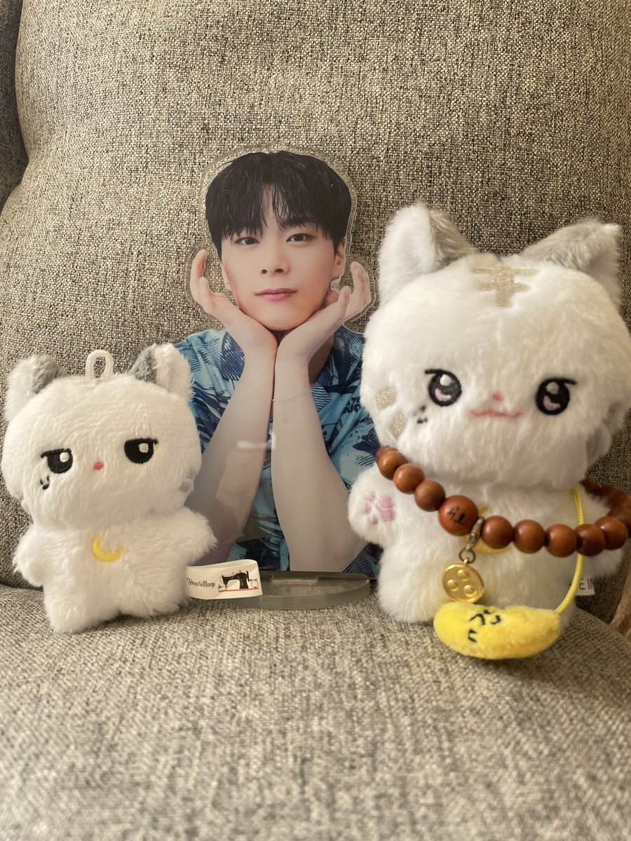 グレン tweet media