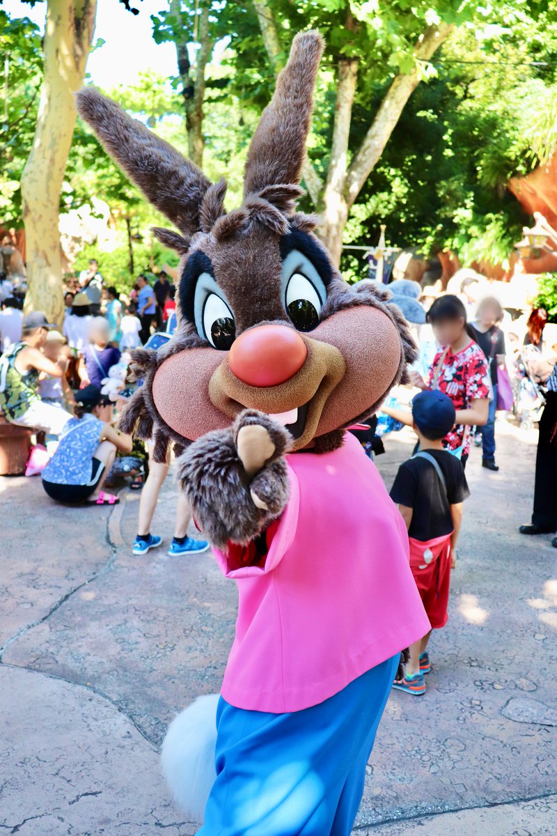 LucaRobin_L_E's tweet image. おいでよ笑いの国！！
#brerrabbit #splashmountain