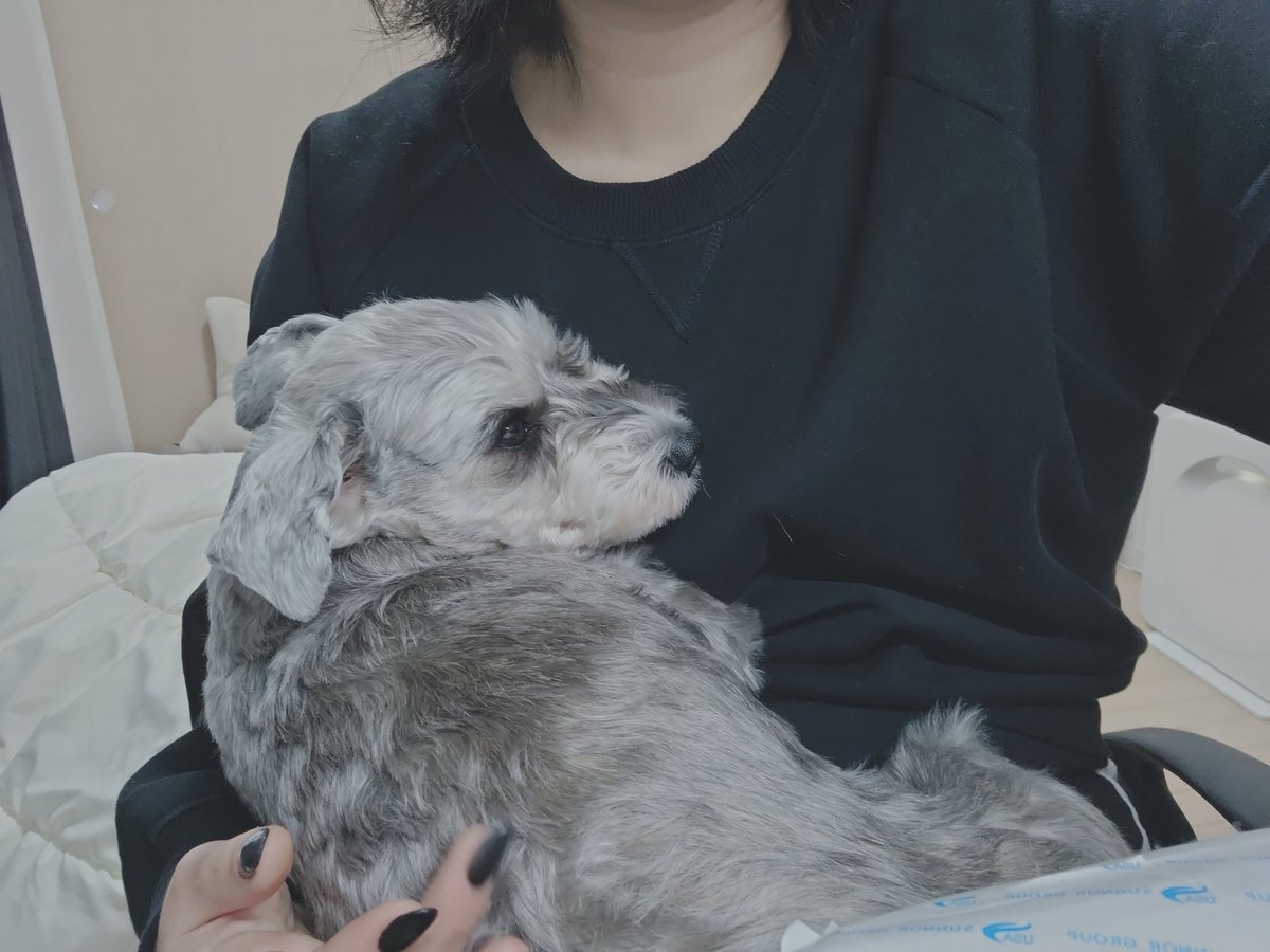 crtn0313's tweet photo. 最近の我ら https://t.co/Tv9xwmJcV0