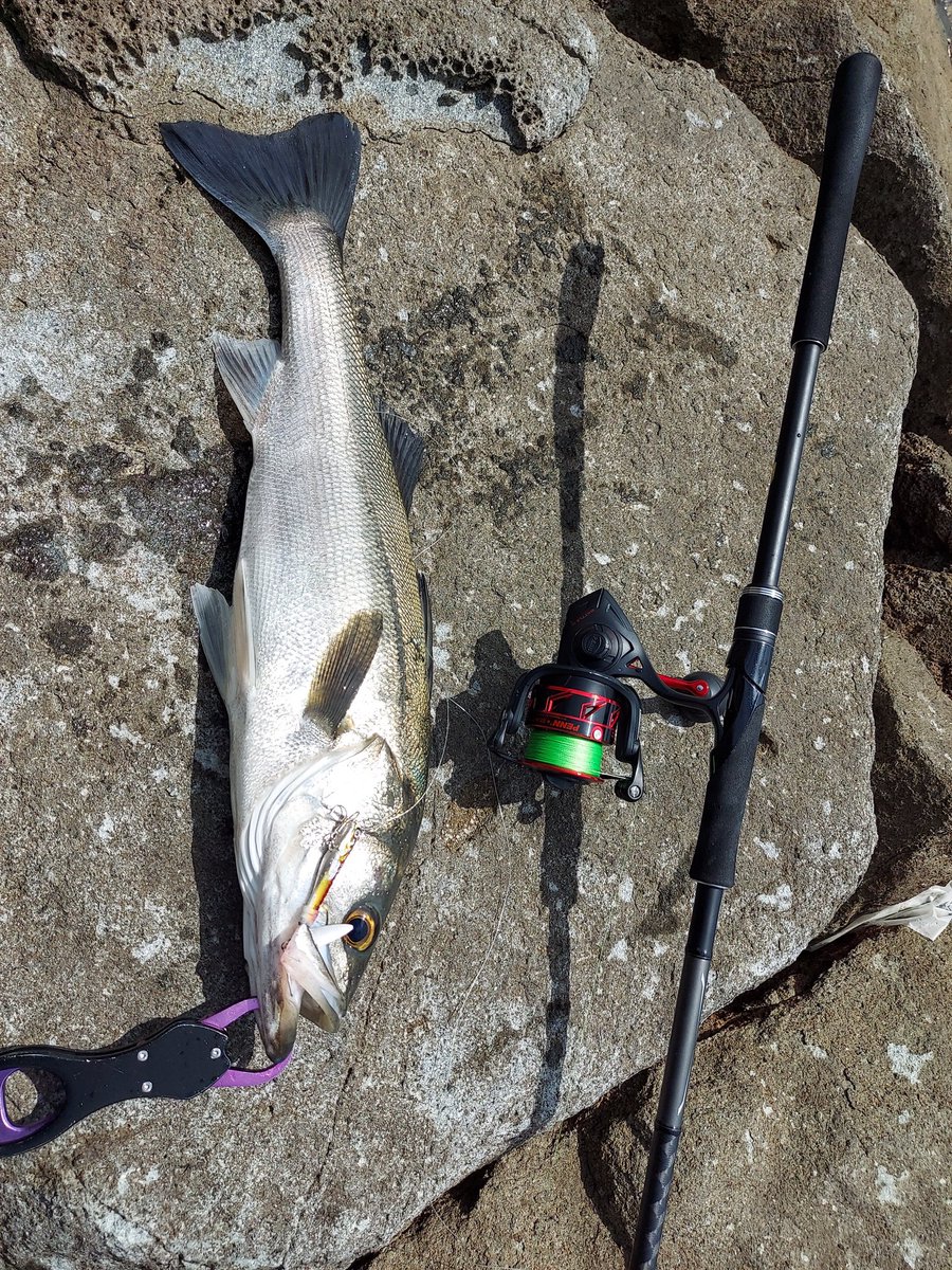 lure46's tweet image. ナイス。俺！

#PENN #Battle3