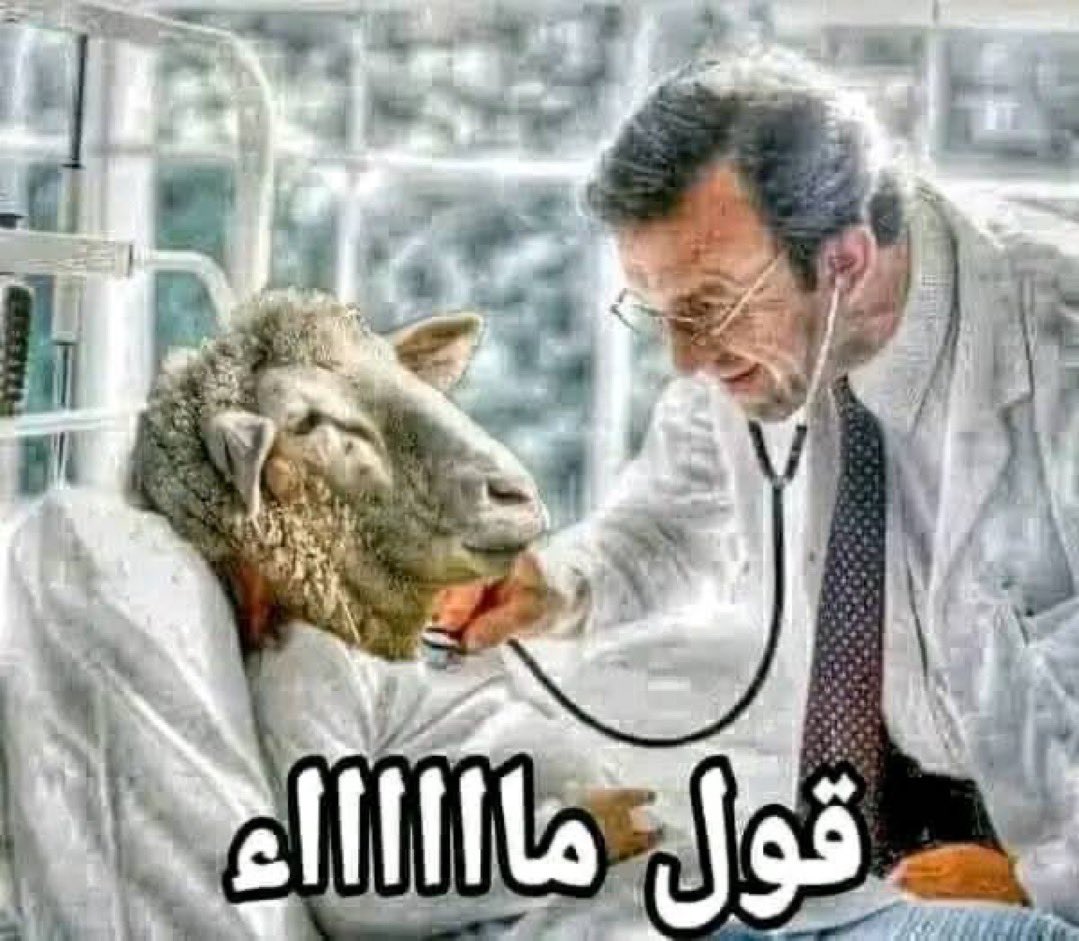 moneeb_gad's tweet photo. @25_A_25_b https://t.co/0iSEmf0FHC