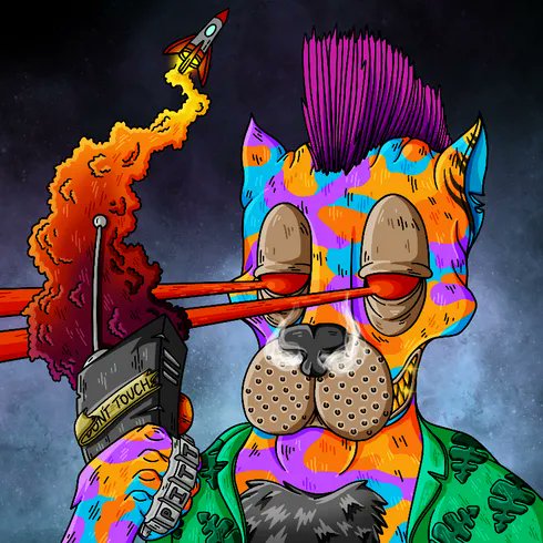 DigitalDon tweet media