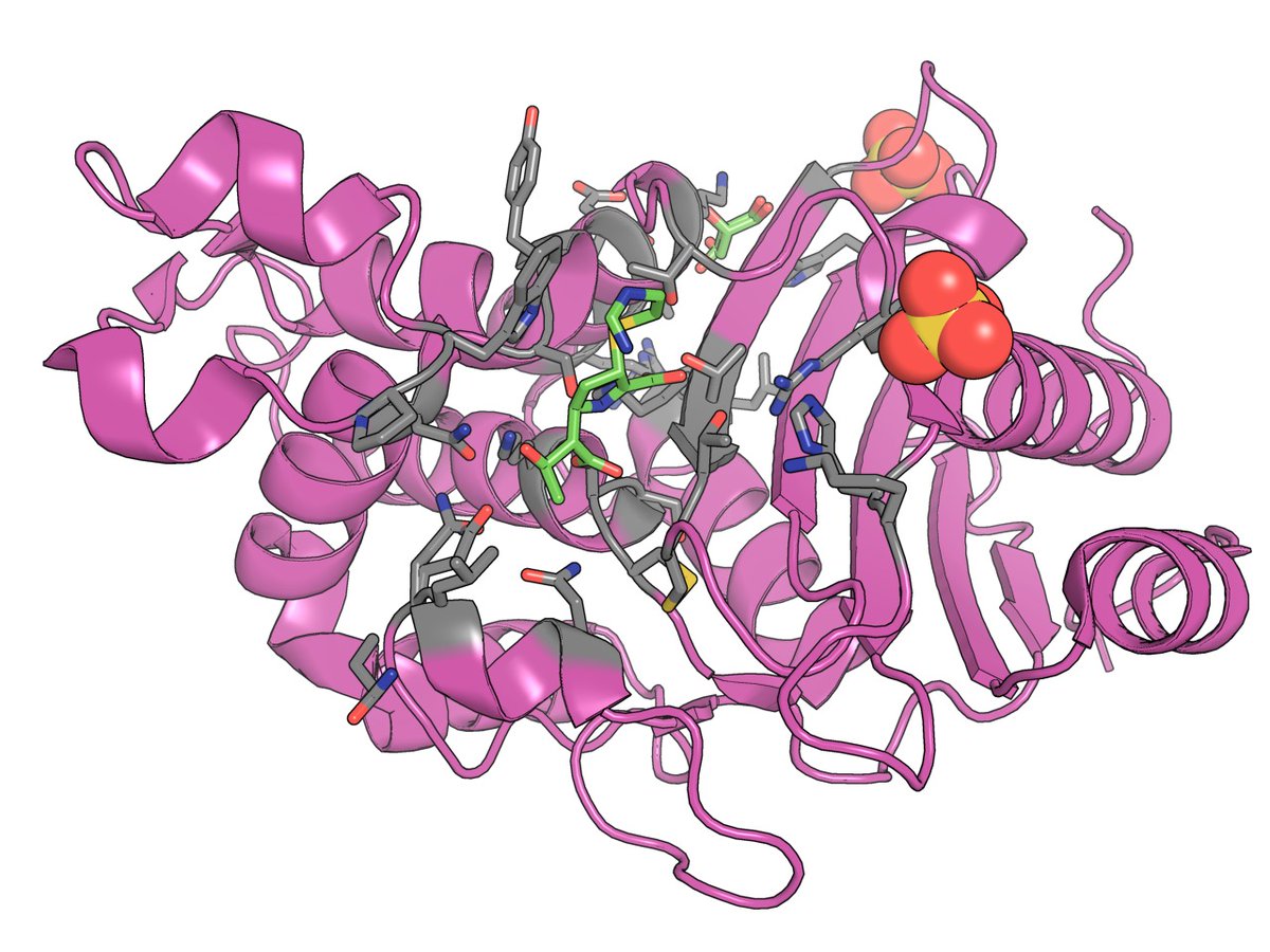 🚀 ChatMol v0.2 Released! 🎉  

New feature:  
🔹 Added support for Claude, DeepSeek, and Ollama in the PyMol plugin 🔬

Here’s a demo created using DeepSeek-V3.  
Check it out at: github.com/ChatMol/ChatMol

#ChatMol #AI #PyMol #DeepSeek