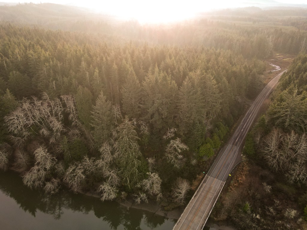 Washington's Evergreen Coast tweet media