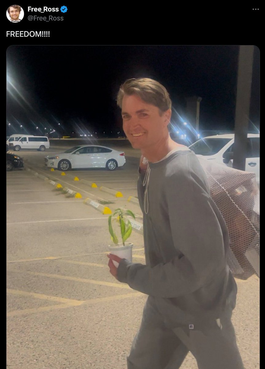 Market News: Silk Road Founder Ross Ulbricht Released After Trump Pardon  According to Cointelegraph, Silk Road founder Ross Ulbricht has been  released from prison after receiving a pardon from U.S. President Donald