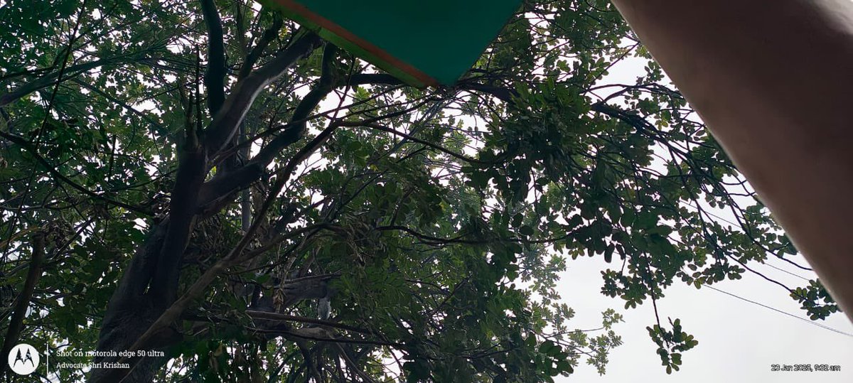 Adv. Shri Krishan tweet media