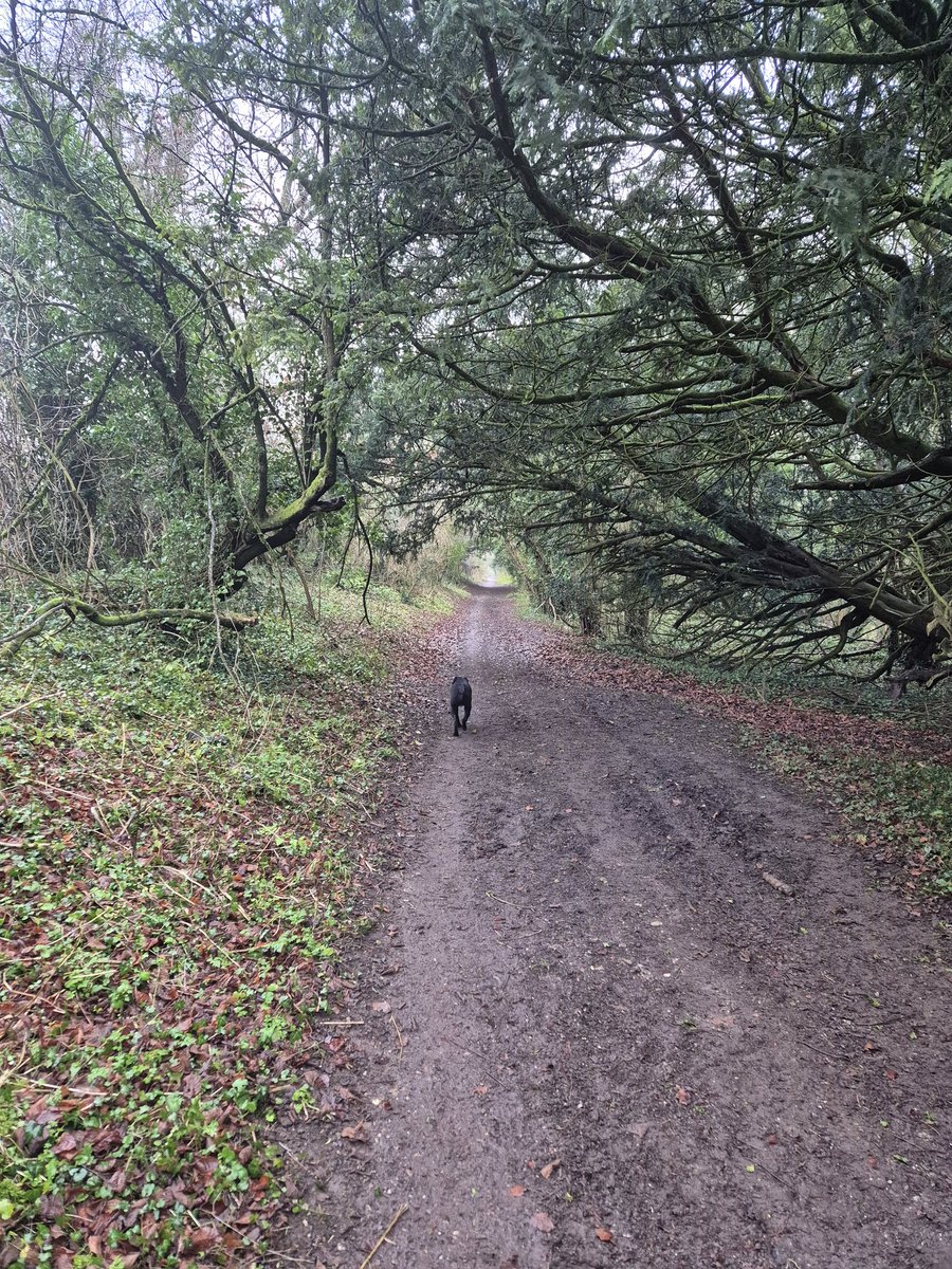 CThomas663's tweet photo. An early morning walkies seen earlier this morning.
#OldRoads https://t.co/MXS9wvWswq