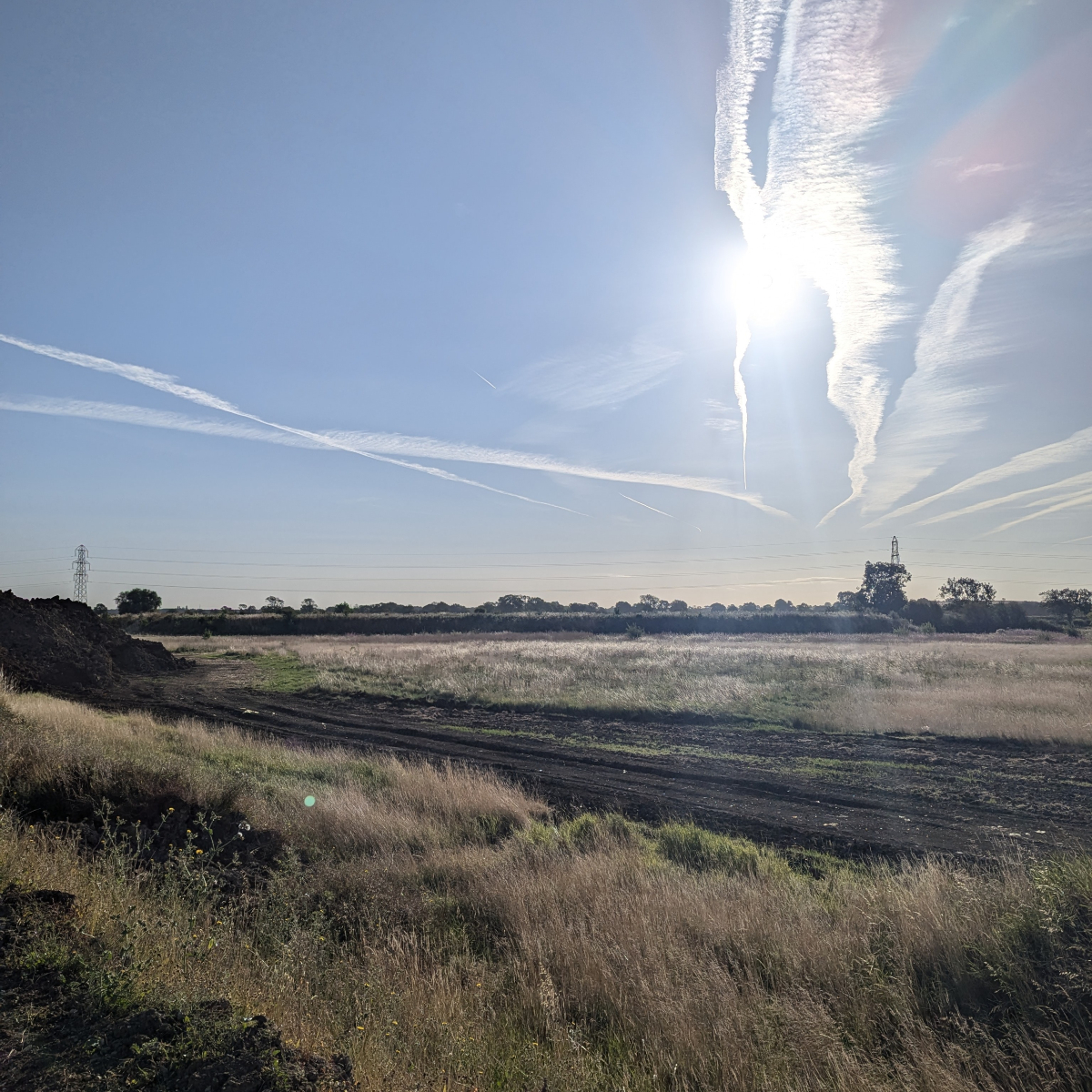 Orston Shooting tweet media