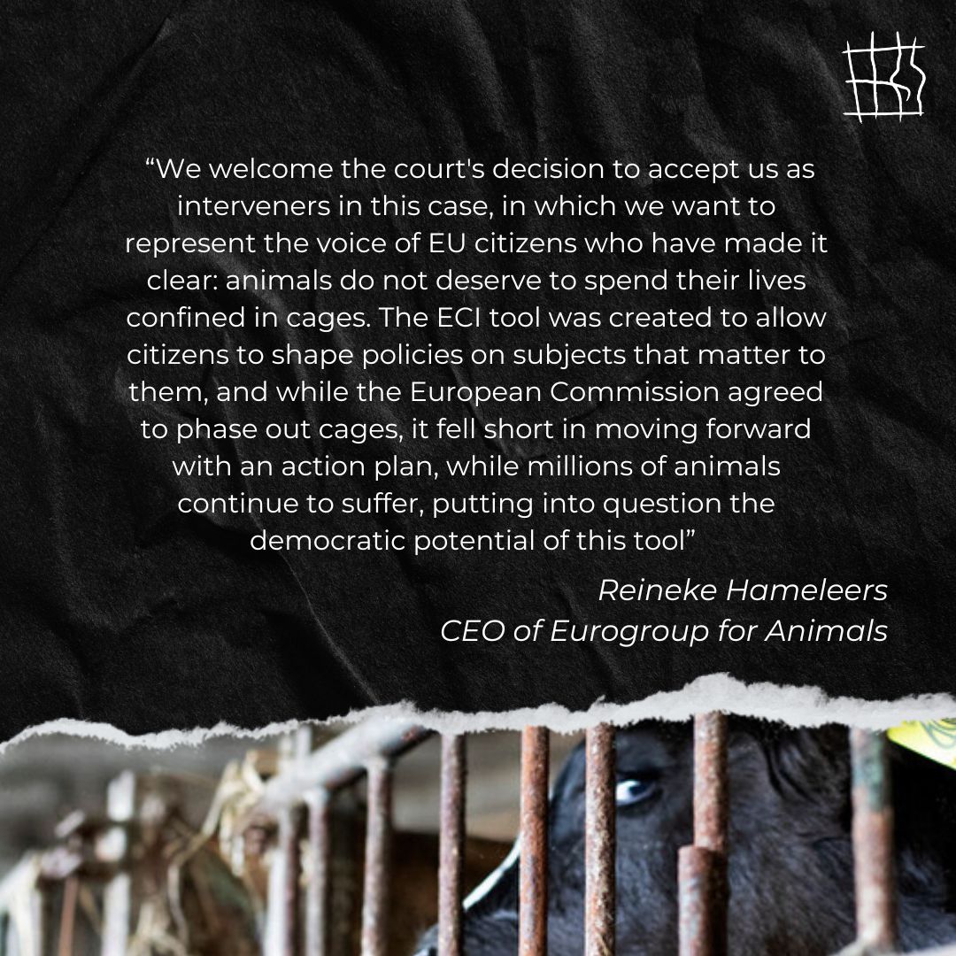 BREAKING: The EU Court of Justice has allowed us to join the landmark #EndTheCageAge legal case led by <a href="/ciwf_global/">Compassion in World Farming International</a>. 🎉

Now we will demonstrate how the <a href="/EU_Commission/">European Commission</a>'s failure to deliver on its commitment negatively impacts animals.

eurogroupforanimals.org/news/eurogroup…
