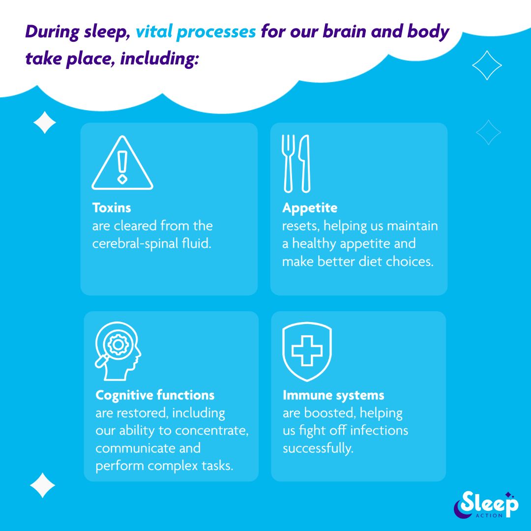 Sleep Action tweet media