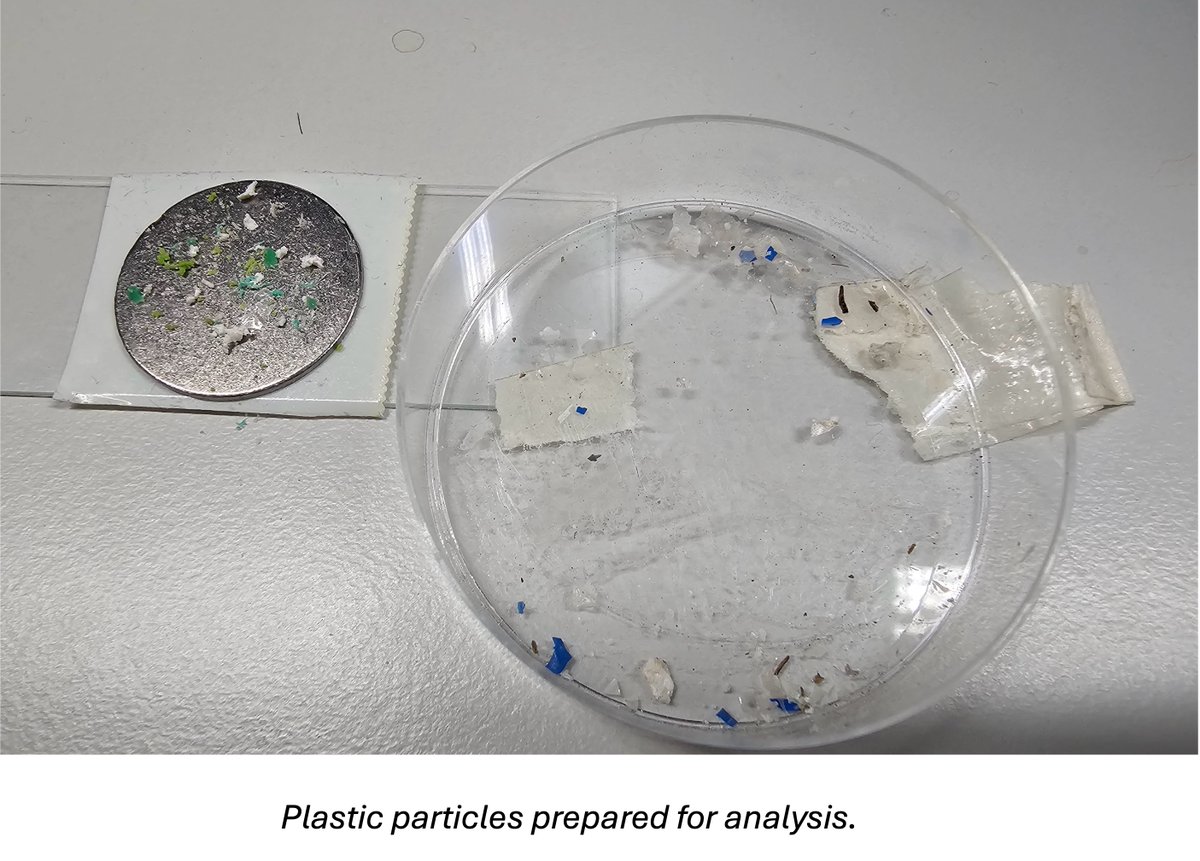 🌍 Nanobio Core Facility now offers advanced analysis of micro &amp; nanoplastic particles in water, food, tissues, and more using Raman microscopy. Precise ID with Particle Analysis software &amp; polymer library. Learn more:  ciisb.org/news/analysis-…
