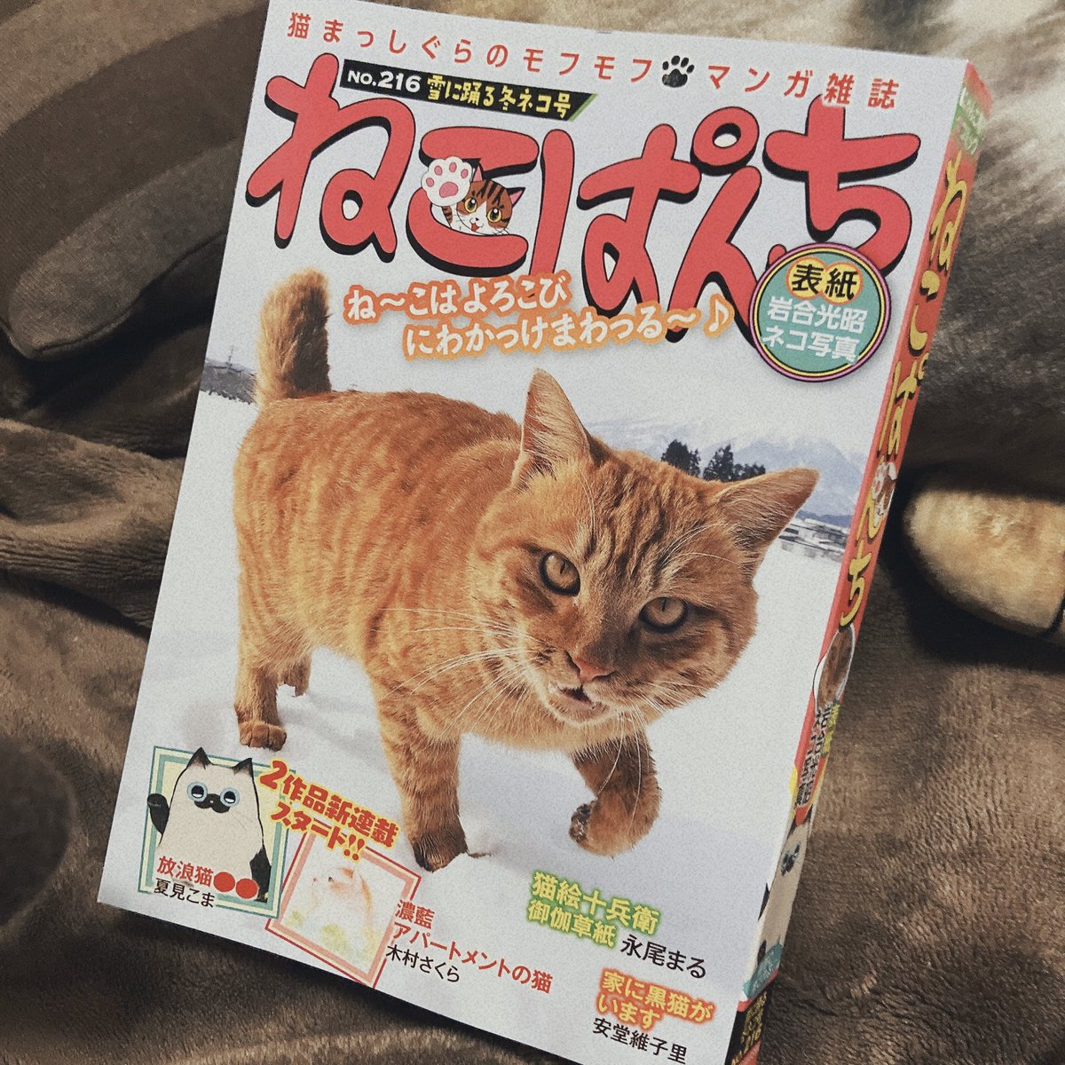 1/22発売のねこマンガ誌『ねこぱんち』にて『放浪猫○○』第1話を載せ
