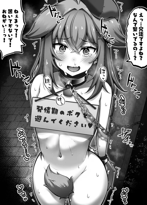 発情期に入って元気一杯()の従〇ノ〇君。
性欲発散できるようにみんな遊んであげてください! 