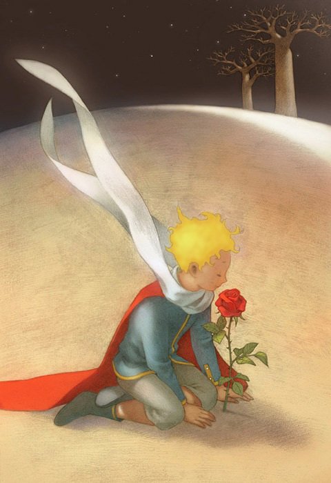 s_msonia's tweet photo. ". . . Amar es saber que no te cambia 
el tiempo, ni las tempestades ni mis inviernos.
Dar amor no agota el amor, por el contrario lo aumenta.
La manera de devolver tanto amor, 
hoy es abrir el corazón y dejarse amar."

~Antoine de Saint-Exupéry✍️
#FelizJueves https://t.co/PGQJ4TFPf0