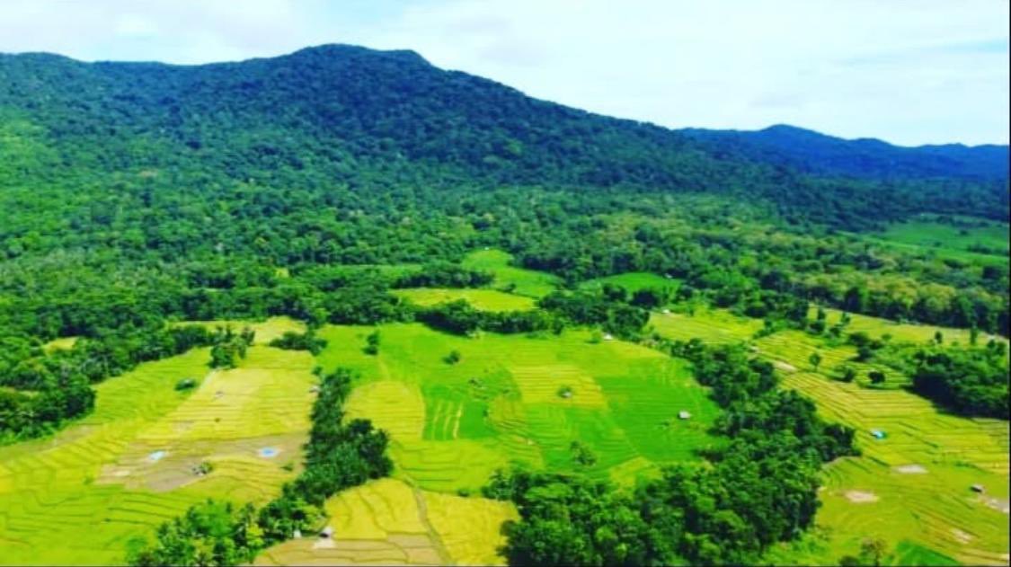 banten_pemprov's tweet image. Kabupaten #Pandeglang, #Banten, tidak hanya memiliki pantai yang indah. 

Pandeglang juga memiliki #gunung yang cocok untuk #hiking (mendaki) dan melepas penat dari setumpuk pekerjaan dengan deadline ketat!