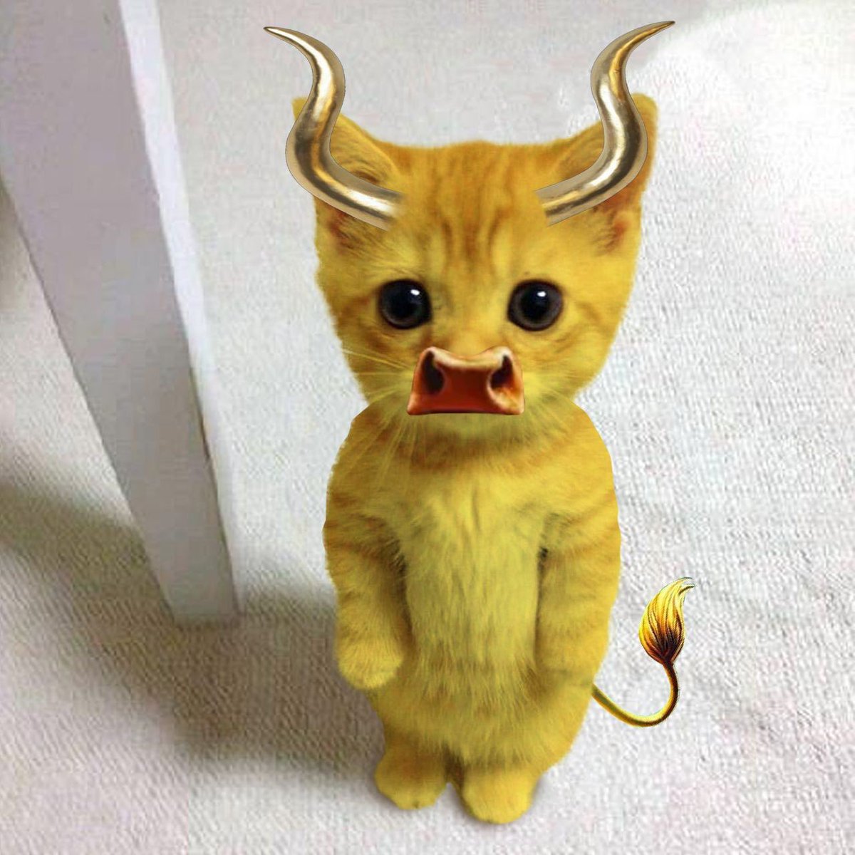 Park Lucy tweet media