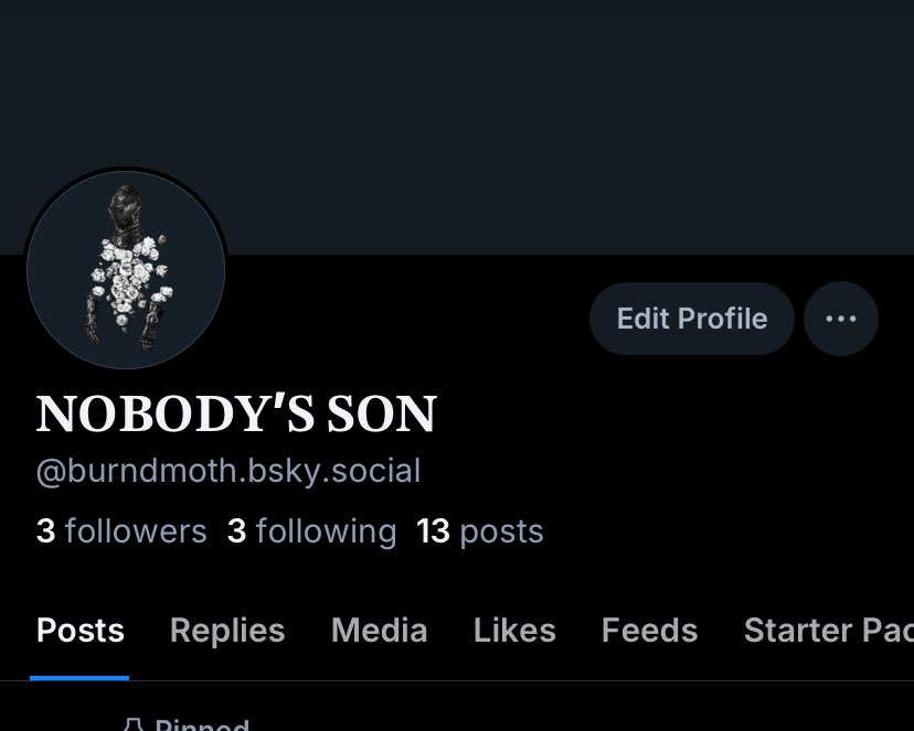 𝐍𝐎𝐁𝐎𝐃𝐘’𝐒 ᅟ ᅟᅟᅟ ᅟ ᅟᅟ 𝐒𝐎𝐍 tweet media