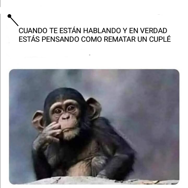 juanra_arcos's tweet photo. 🤣🤣🥳🥳 https://t.co/pt5Xc9GCbf