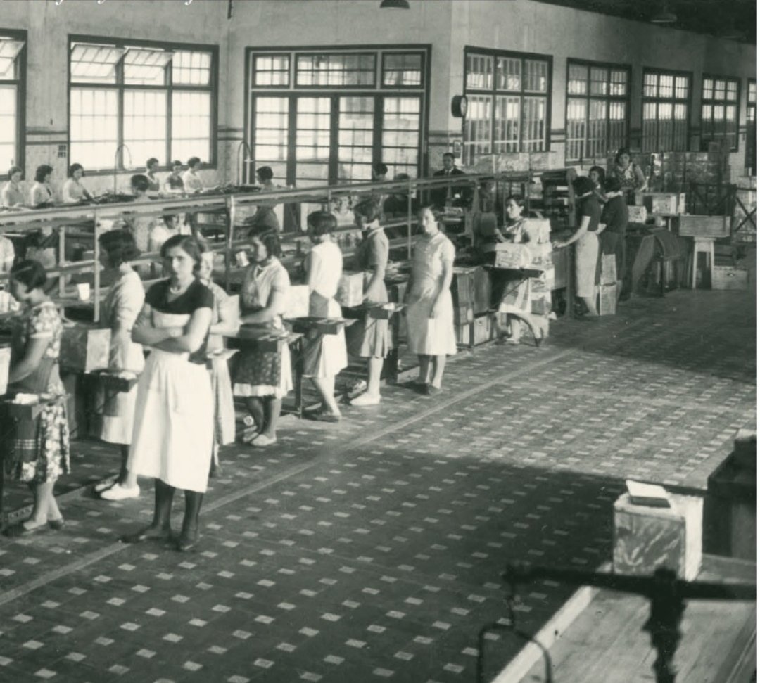 𝔼𝕥𝕩𝕖𝕓𝕒𝕣𝕣𝕚𝕖𝕥𝕒 memoria elkartea tweet media