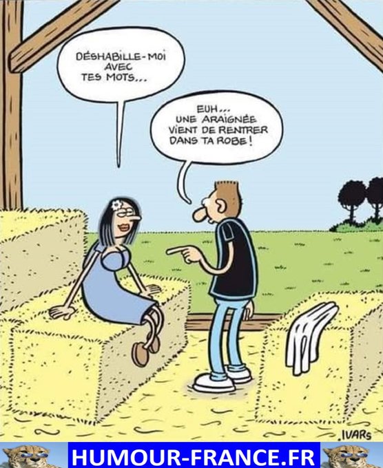 text alternatif