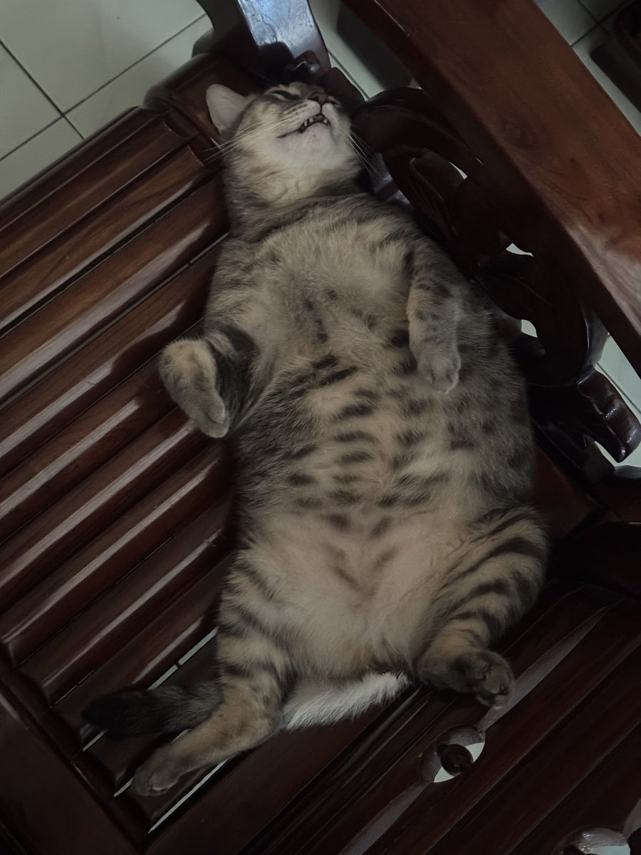 crabbabyyy's tweet photo. @Orkid_Hutan_ 🫣🤣 https://t.co/c4svvRSCUH