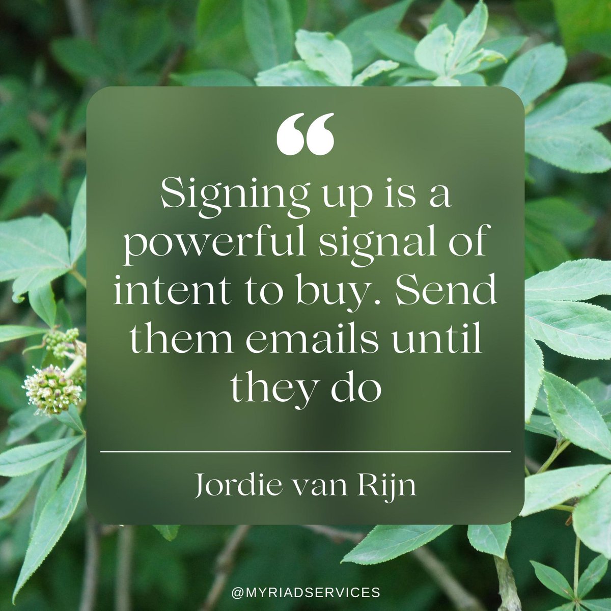 Hayley Andrews Smith tweet media