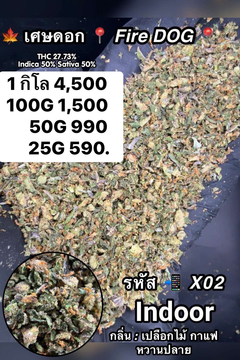 CThiland965's tweet photo. สั่งซื้อคลิกลิงค์นี้👇🛒🚬
https://t.co/4bvt29y1Fl

เช็คเคดิตกลุ่ม💚❤️🚀
รูปภาพเพิ่มเติมทักแชทไลน์ร้านมา🖖💚👌

📌จีละหลักสิบ💐🍁 ใบทริม
#กรีนแคร็ก #ห่างกระรอก

#พันลำ #joint #WRA #กัญชาออแกนิค #CANNABIS #กัญชาฝั่งธน #จรัญฯ #GreenCack #เชียงราย #เชียงใหม่ #ลำปาง #กรุงเทพ #ชุมพร https://t.co/3UoIspVT22