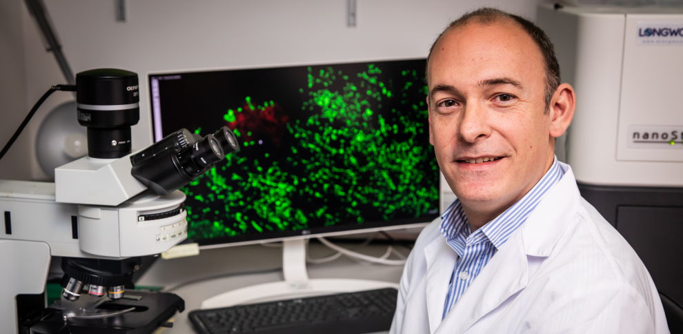 Barcelona Activa (@barcelonactiva) on Twitter photo 🧬 <a href="/RevealGenomics/">REVEAL GENOMICS</a>, que va participar en el programa #Preacceleració i que acaba d'entrar a la Incubadora Glòries, ha creat un test que analitza 14 gens del sistema immune per predir la salut després d’un càncer.
📰 Llegeix la notícia a <a href="/LaVanguardia/">La Vanguardia</a>!
loom.ly/trQwdwI 🧬 <a href="/RevealGenomics/">REVEAL GENOMICS</a>, que va participar en el programa #Preacceleració i que acaba d'entrar a la Incubadora Glòries, ha creat un test que analitza 14 gens del sistema immune per predir la salut després d’un càncer.
📰 Llegeix la notícia a <a href="/LaVanguardia/">La Vanguardia</a>!
loom.ly/trQwdwI