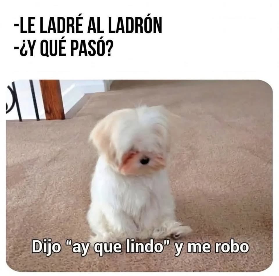 Cexy197904's tweet photo. Me robó 🥹 https://t.co/3AXaKCbzbk