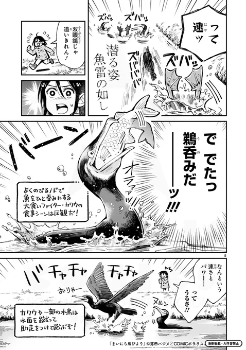 朝さんぽしてたら野鳥沼にハマった話
カワウ編(1/4) 
