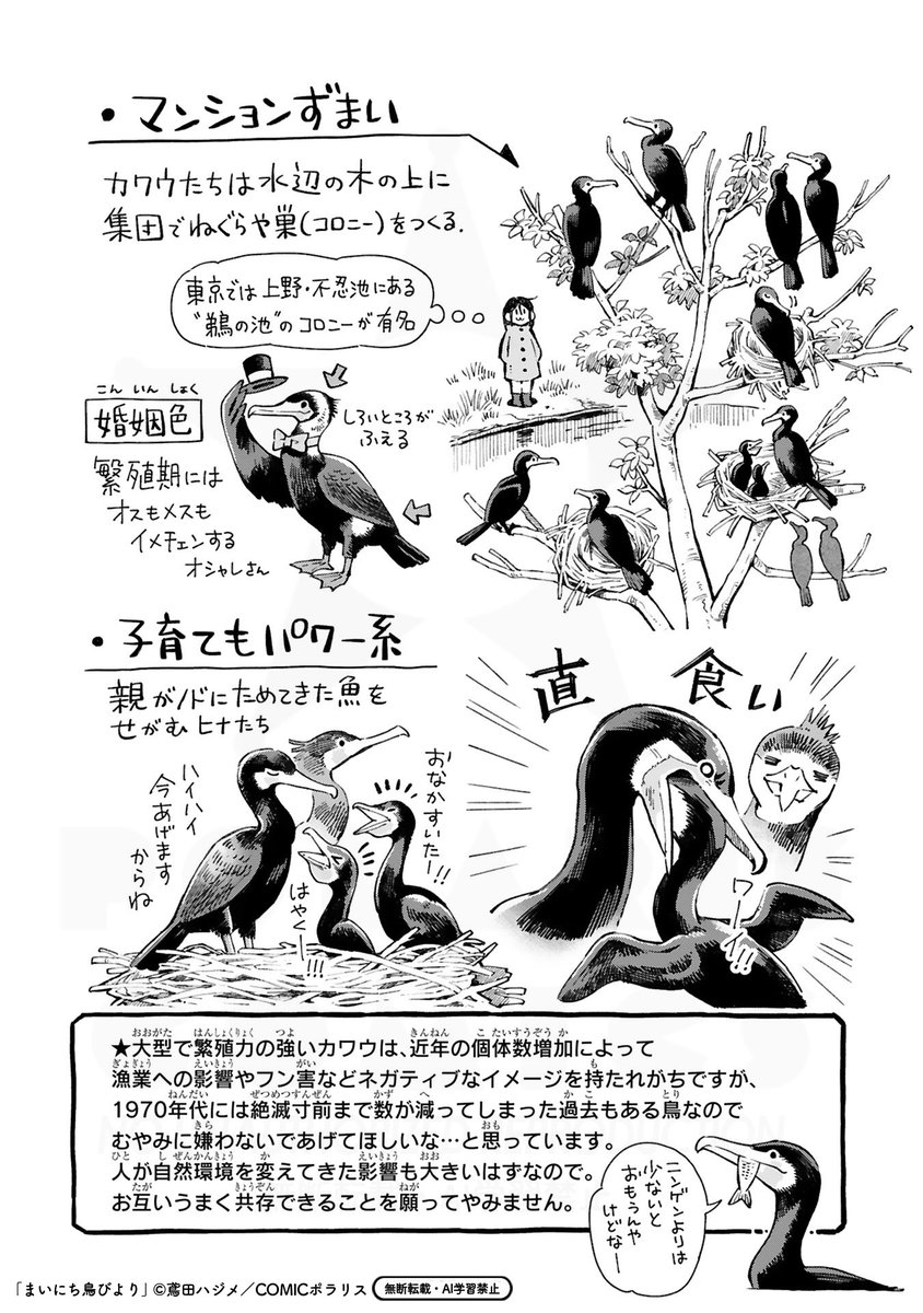 (4/4) 