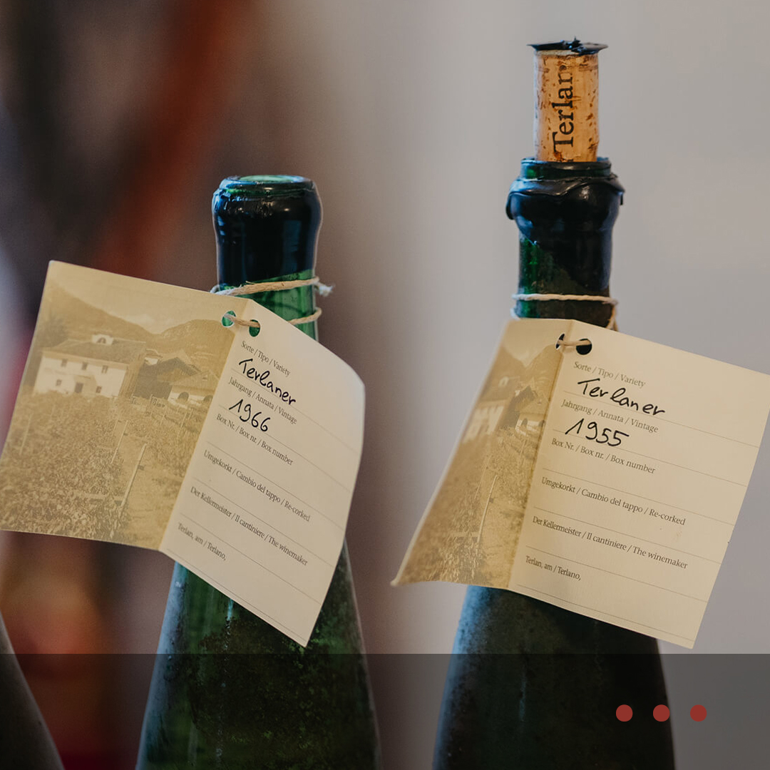 thewineconversation (@thewineconv) on Twitter photo Pinot Blanc. Co-operative. 2 words not associated with world-class wine. But think again. Sarah Kemp reports on a historic tasting of <a href="/KellereiTerlan/">Cantina Terlano</a> with vintages back to 1955 and finds out why they are regarded as one of Italy’s greatest white wines. bit.ly/3Wuh58y Pinot Blanc. Co-operative. 2 words not associated with world-class wine. But think again. Sarah Kemp reports on a historic tasting of <a href="/KellereiTerlan/">Cantina Terlano</a> with vintages back to 1955 and finds out why they are regarded as one of Italy’s greatest white wines. bit.ly/3Wuh58y