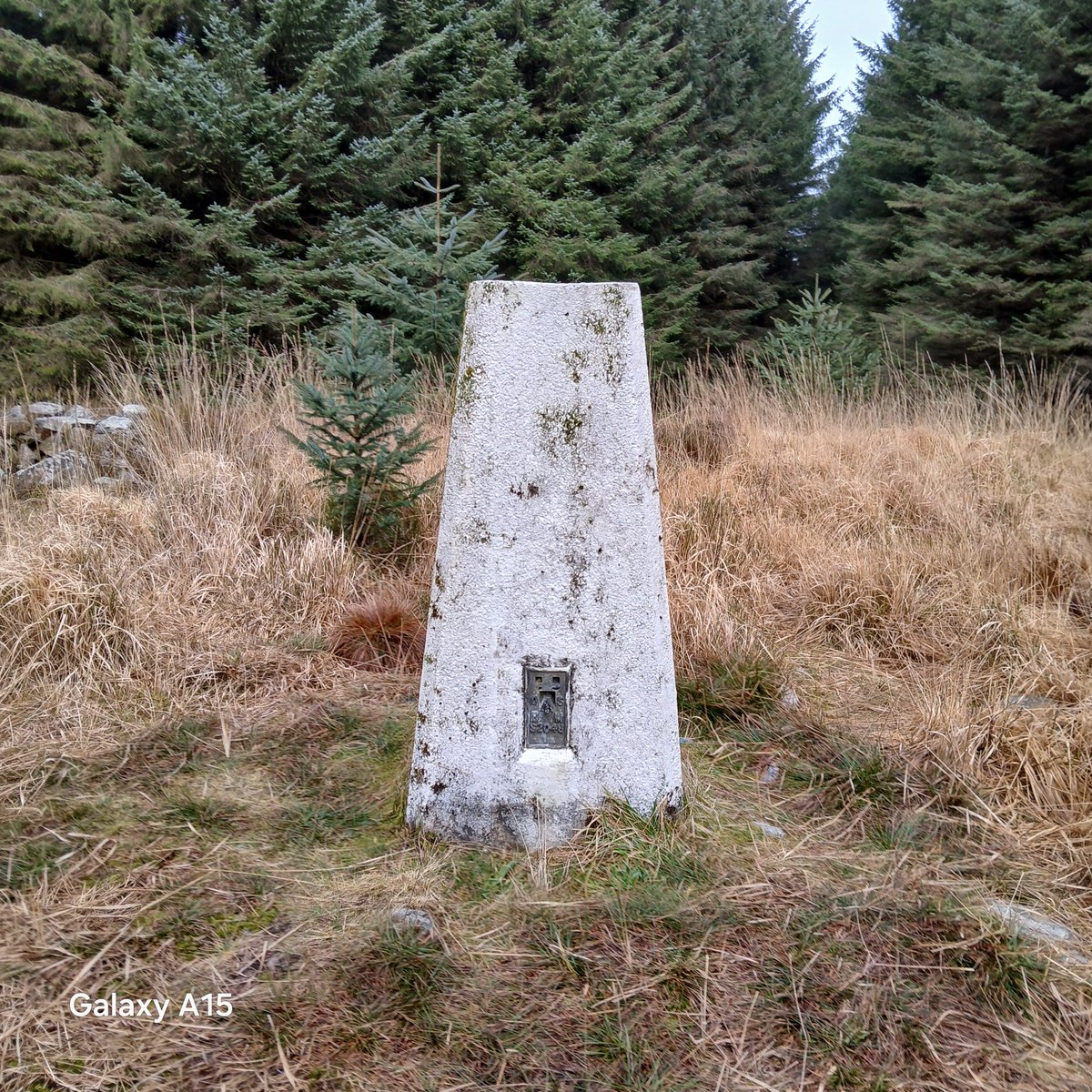 paddy1272's tweet photo. Mynydd March-hywell above the Neath valleys South Wales yesterday. A trig in a forest for #Trigpointthursday https://t.co/i47s3Ahxwc
