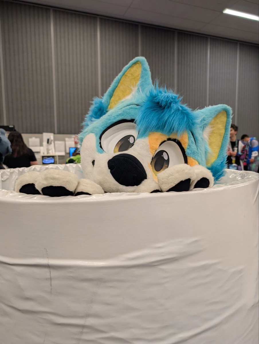 Symphony_Snep (She/Her) tweet media