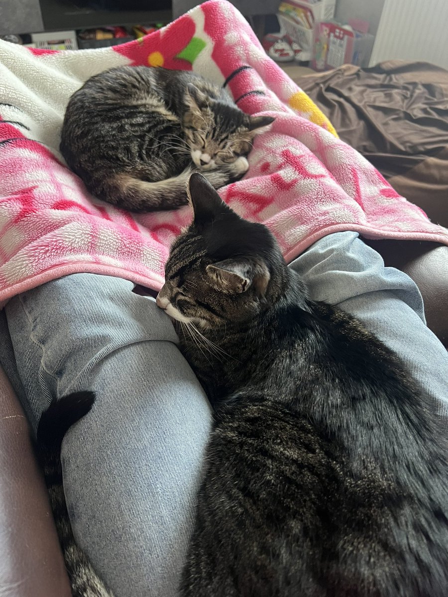 何て可愛すぎる光景😻❤️✨