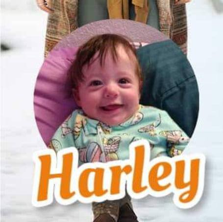 Kraig Welsh tweet media