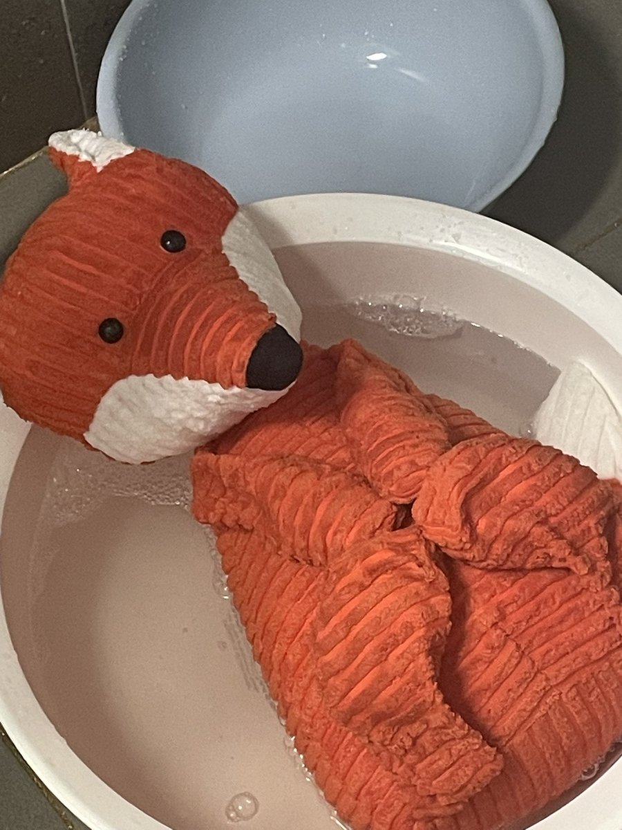 물 먹은 여우
꼬질꼬질🧼