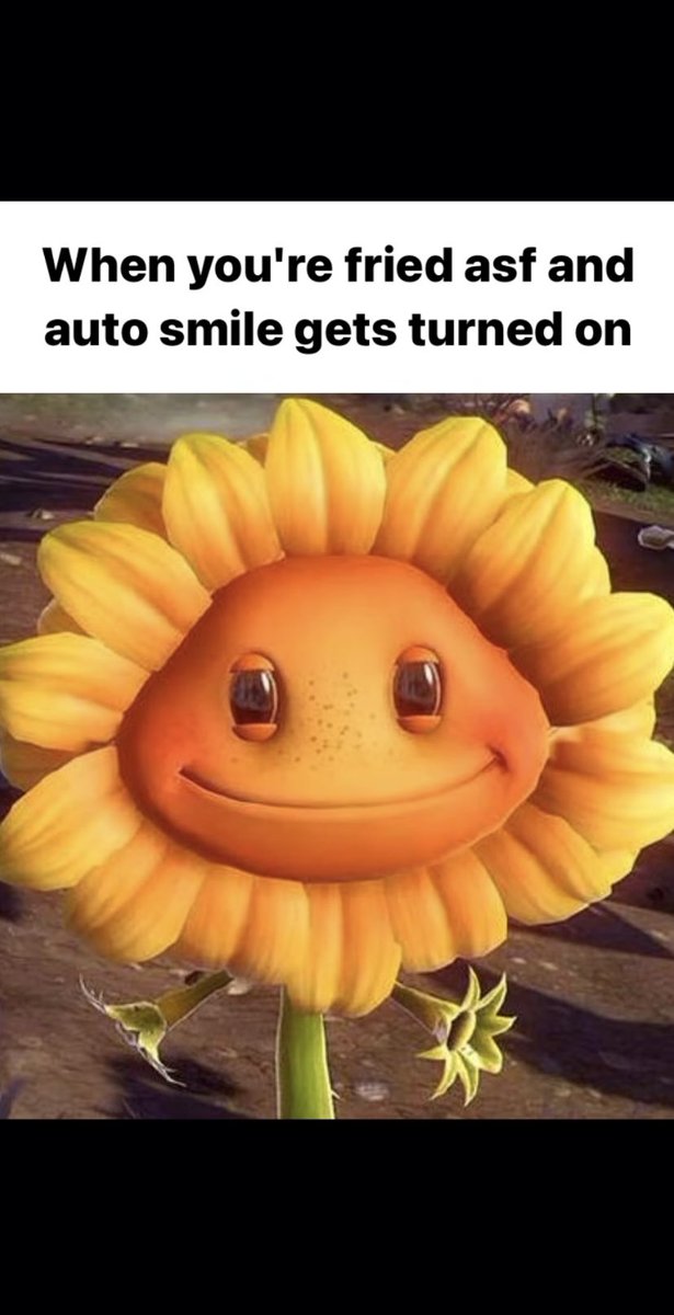 friedsunflowers's tweet photo. @stillblazingtho https://t.co/Q4ohIAQGAZ